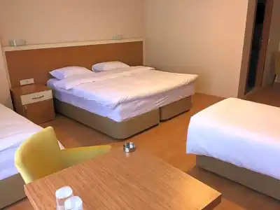 EMSA Palace - 5