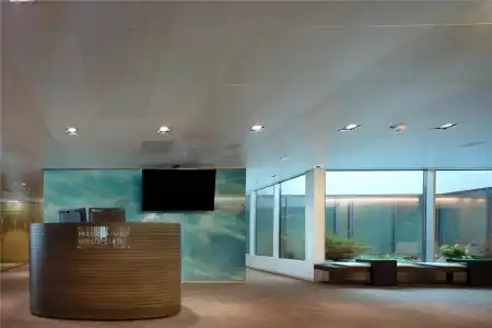 Radisson Blu, Lucerne - 17
