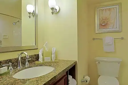 Courtyard by Marriott Bradenton Sarasota Riverfront - 5