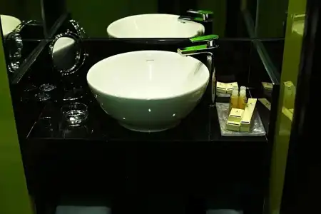 Regalodge & Spa - 47