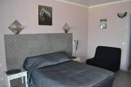 Hôtel Le Dauphin Bleu - 66