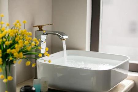 Trang Trang Premium - 60