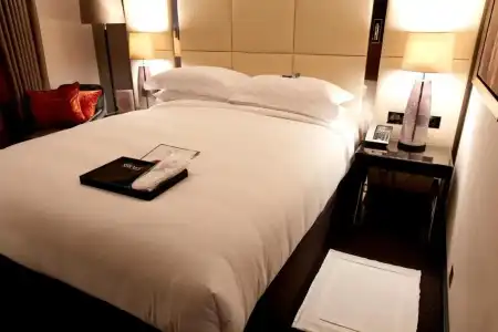 Hyatt Regency London Albert Embankment - 81