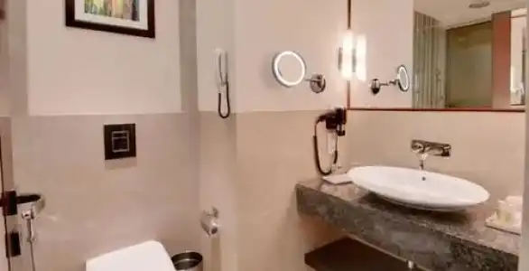The Golden Palms & Spa Delhi - 7