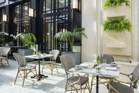 Alvear Icon - 29