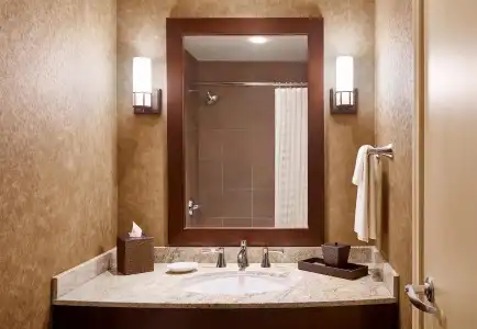Hyatt Regency Bellevue - 8
