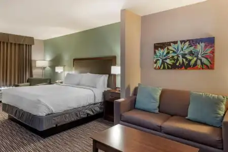 Holiday Inn Express & Suites Indio - Coachella Valley by IHG - 48