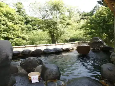 Yugawara Onsen Kamata - 7