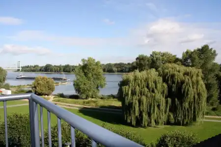 Rheinblick - 8