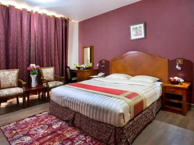 Safeer Suites - 10