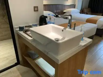 Best Western Dijon Centre Gare - 140