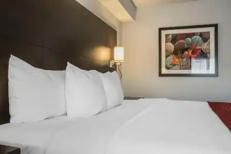 Comfort Inn Leamington - 46