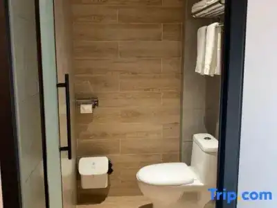 Best Western Dijon Centre Gare - 71