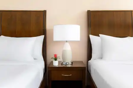 Hilton Garden Inn Key West / The Keys Collection - 43