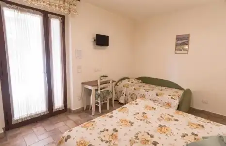 Rosa di Assisi - 91