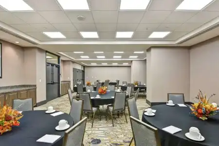 The Cincinnatian Curio Collection by Hilton - 15
