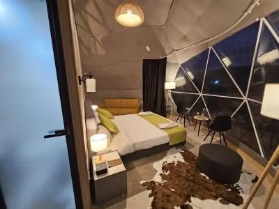 EcoHouse Glamping by ART - 2