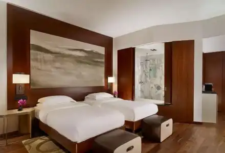 Park Hyatt Zurich - 83