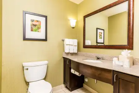 Hilton Garden Inn St. George - 7