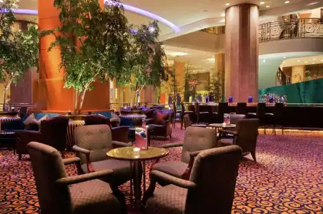 Hilton Chongqing - 53