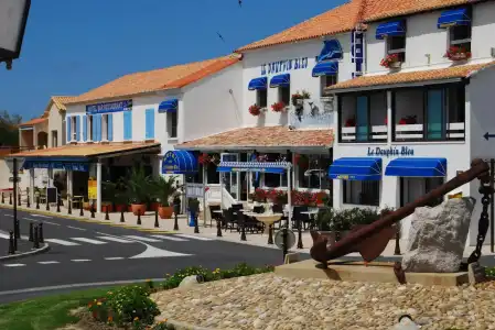 Hôtel Le Dauphin Bleu - 14