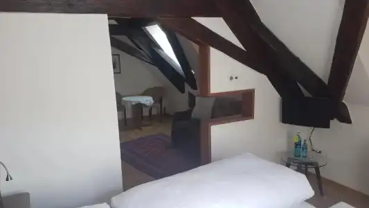 Hotel-Restaurant Goldenes Lamm - 75