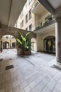 Agave in città - 0