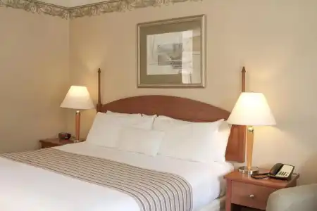 Flagship Inn and Suites - 18
