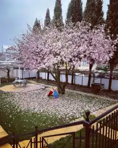 Hofmann Zur Mühle - 28