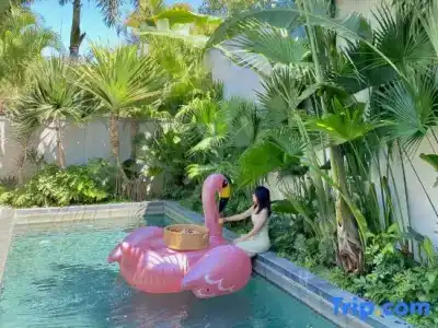 Huizhou Migratory Birds Resort - 71