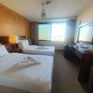 Amman Orchid - 23