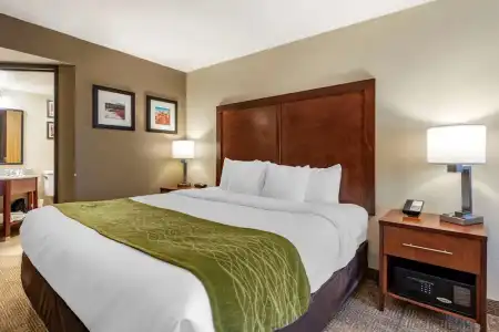 Comfort Inn & Suites Albuquerque Downtown - 46