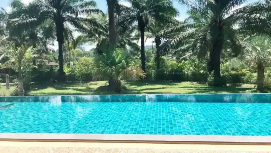 Palm Kiri Resort - 95