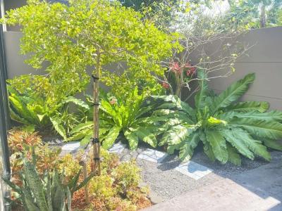 Triple Tree Beach Resort - 96