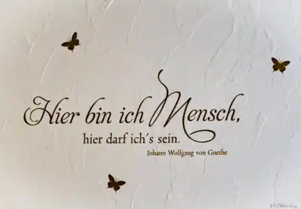 Sonne - Das Kleine Altstadt - 42