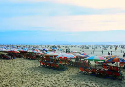 Victory Vung Tau - New Wing - 14
