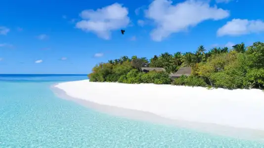 Vakkaru Maldives - 42