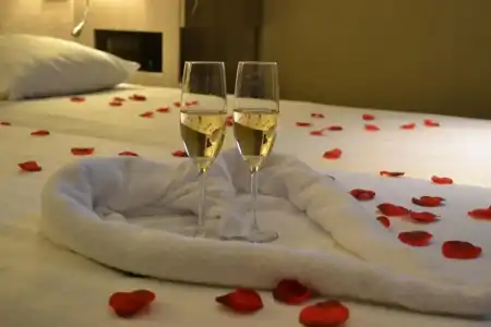 Fletcher-Restaurant Het Veluwse Bos - 59