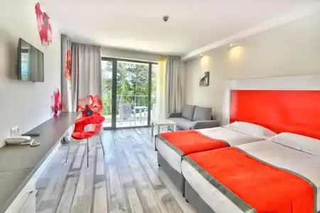 Grifid Foresta Adults Only - 5