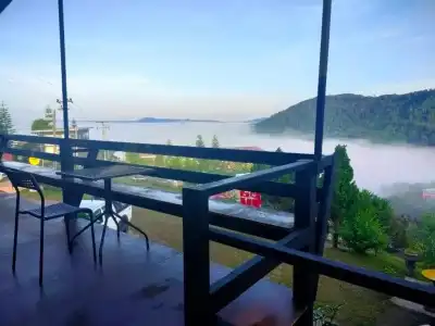 Khao Kho Tree Top - 50