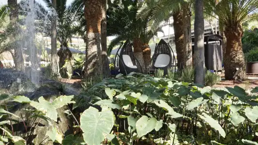 Parque Tropical - 17