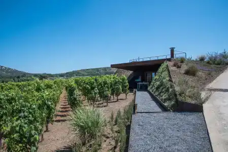 Tenuta di Castellaro Winery & Resort - 7