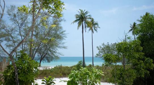 Tamu Koh Rong - 61