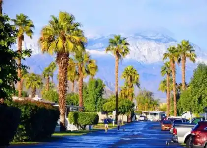 Indian Wells RV Resort - 11