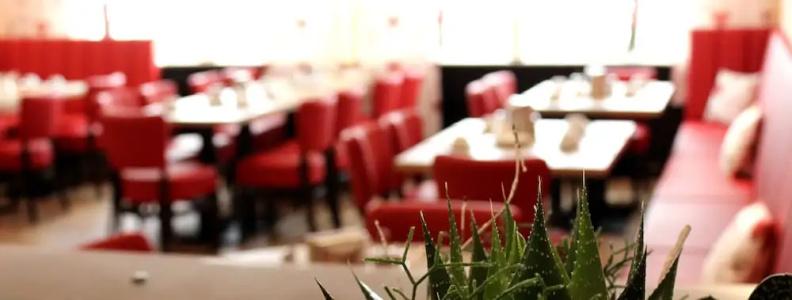 Hotel-Pension Altes Weinhaus - 17