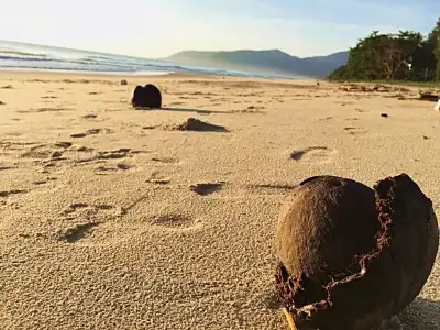 Stella Resort Khanom - 13