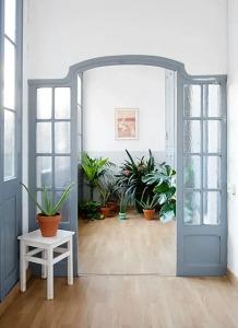 Soul Backpackers - 10