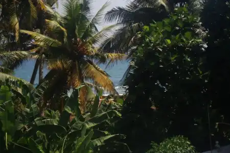Comfort Inn- Galle Fort - 48