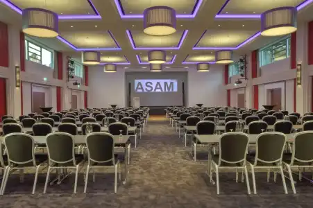 Asam - 13