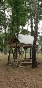 Villaggio Camping Bosco Selva - 57
